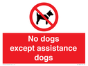 no-dogs-except-assistance-dogs~